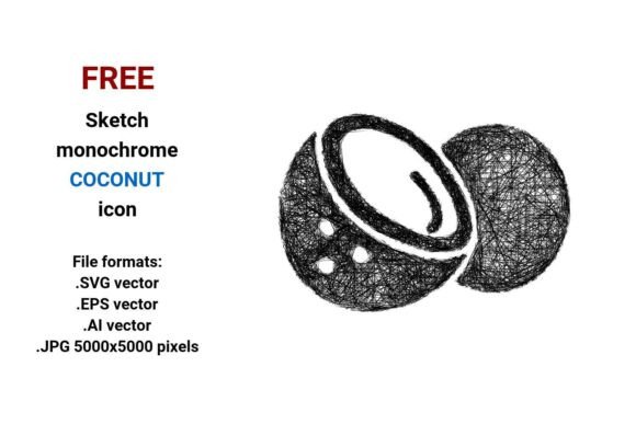 FREE Sketch Coconut Icon: A Versatile Design Asset for Creative and Practical Use