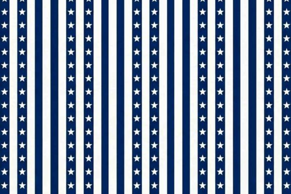 Vertical White and Navy Blue Stripes 4th